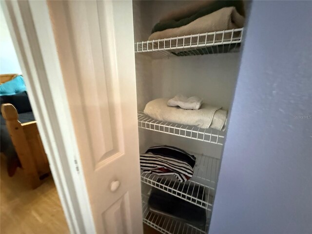 10075 SW 91st Pl, Ocala, FL 34481 - view of closet