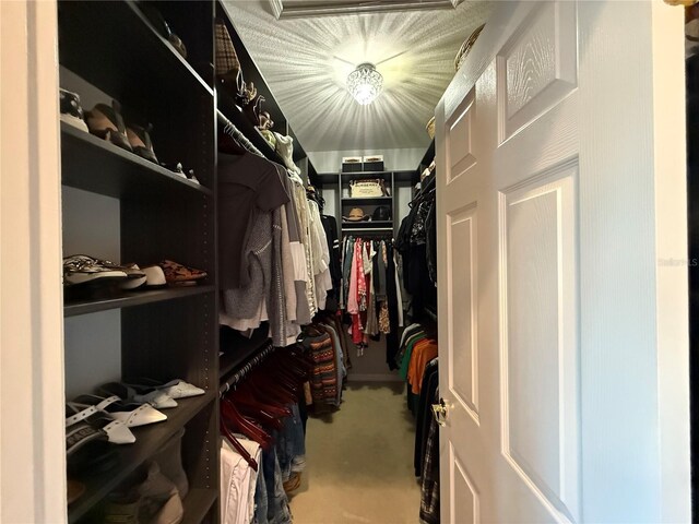 10075 SW 91st Pl, Ocala, FL 34481 - walk in closet featuring carpet