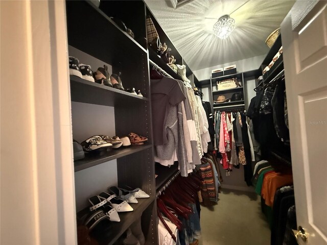 10075 SW 91st Pl, Ocala, FL 34481 - spacious closet with carpet