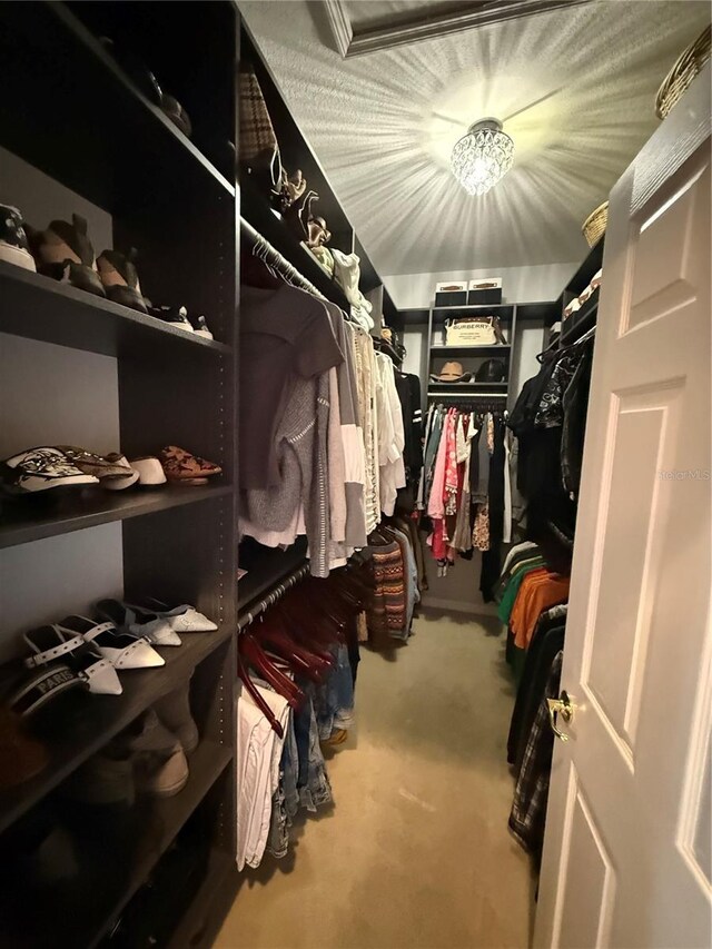 10075 SW 91st Pl, Ocala, FL 34481 - spacious closet featuring carpet floors