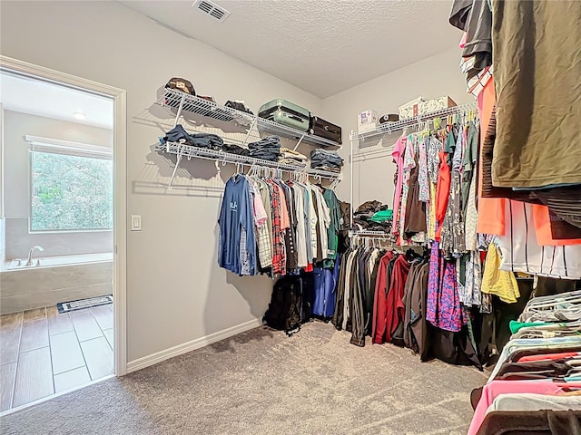spacious closet featuring carpet flooring