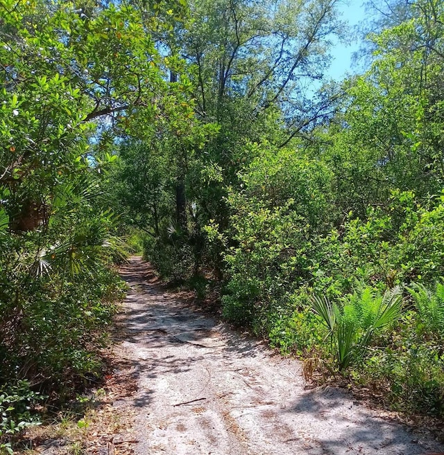 Wahoo St, Christmas, FL 32709
