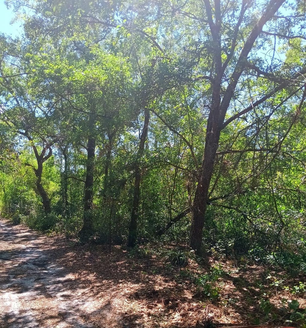 Wahoo St, Christmas, FL 32709