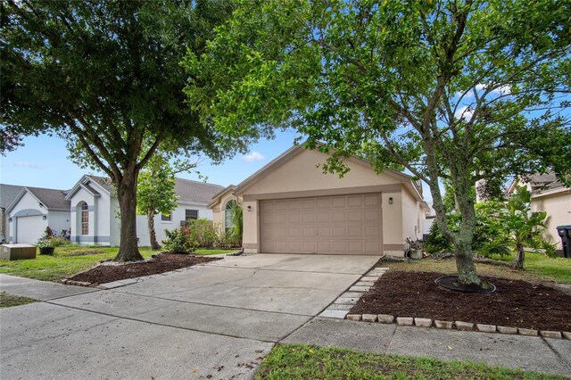 1919 River Park Blvd, Orlando, FL 32817 - photo 37