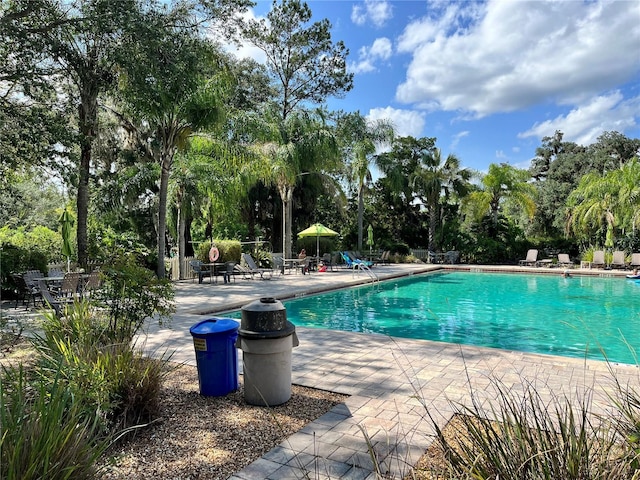 2826 NE 104th Ave, Silver Springs, FL 34488 - photo 51