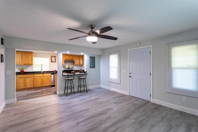 4515 Isaac Ln, Sanford, FL 32771 - entryway featuring a ceiling fan, light wood-style floors, and baseboards