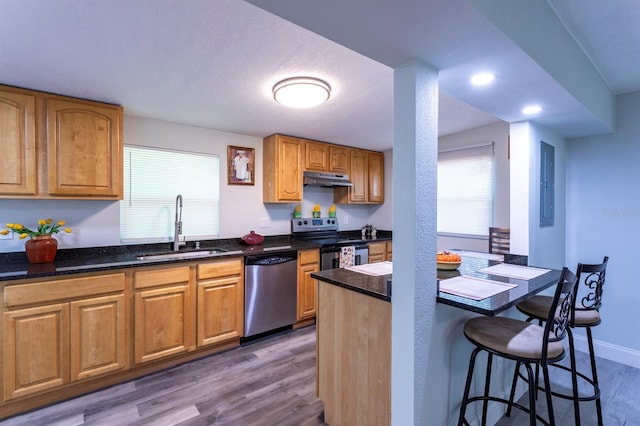 4515 Isaac Ln, Sanford, FL 32771 - kitchen featuring stainless steel appliances, a sink, under cabinet range hood, wood finished floors, and a kitchen bar
