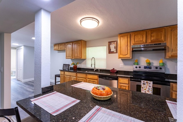 4515 Isaac Ln, Sanford, FL 32771 - kitchen featuring under cabinet range hood, appliances with stainless steel finishes, a sink, wood finished floors, and brown cabinetry