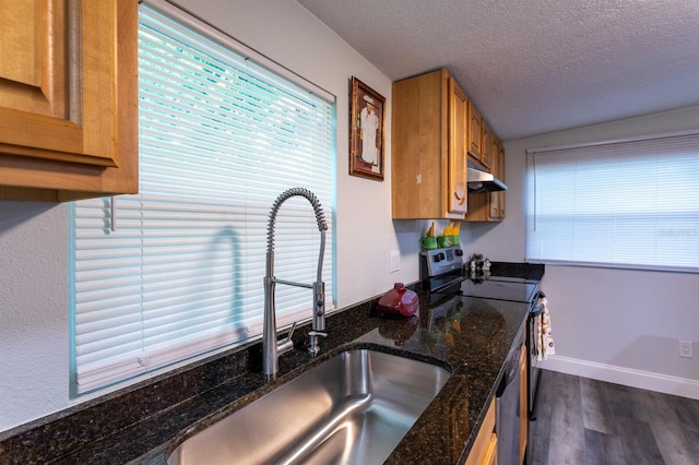 4515 Isaac Ln, Sanford, FL 32771 - kitchen featuring a sink, dark wood-style floors, stainless steel range with electric cooktop, under cabinet range hood, and a textured ceiling