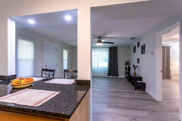4515 Isaac Ln, Sanford, FL 32771 - kitchen with wood finished floors, a ceiling fan, dark stone counters, baseboards, and recessed lighting
