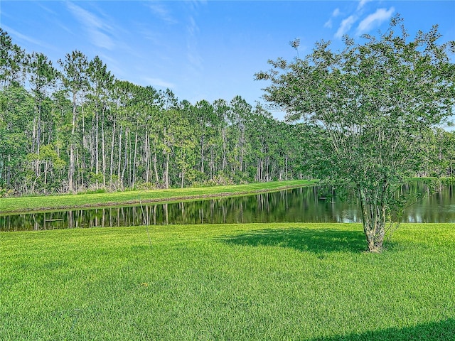 9942 Sweetleaf St, Orlando, FL 32827 - photo 46