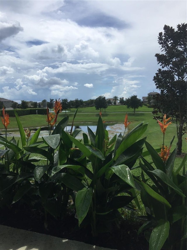 15708 Orange Harvest Loop, Winter Garden, FL 34787 - view of yard with a water view