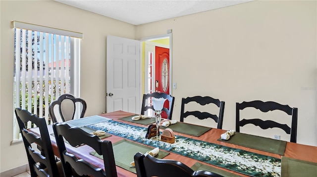11257 Dacre Ln, Orlando, FL 32824 - dining room featuring a textured ceiling