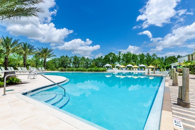 454 Captiva Dr, Davenport, FL 33896 - community pool with a patio and view of scattered trees