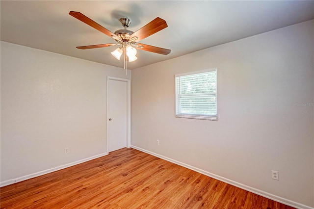 14 Cyclops Dr, Apopka, FL 32703 - photo 17
