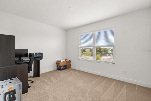 2940 Nottel Dr, Saint Cloud, FL 34772 - photo 19