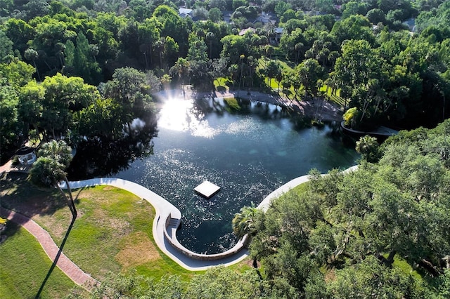 115 Tomoka Trl Unit 115, Longwood, FL 32779 - aerial overview of property's location with a large body of water