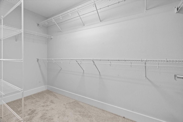 19073 Sabal St, Orlando, FL 32833 - spacious closet featuring carpet floors