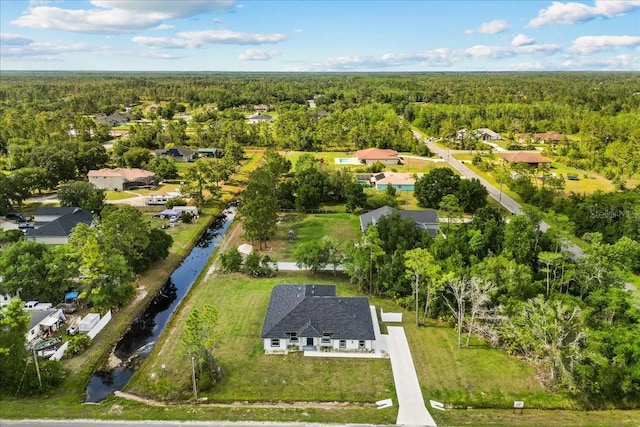 19073 Sabal St, Orlando, FL 32833 - aerial perspective of suburban area with a heavily wooded area