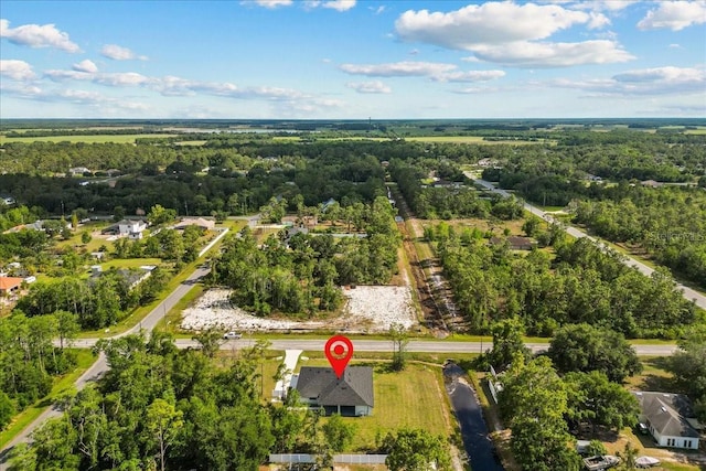 19073 Sabal St, Orlando, FL 32833 - aerial view of property and surrounding area featuring a heavily wooded area