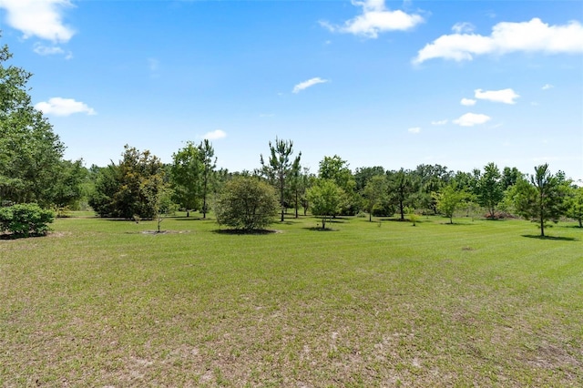 5515 Windsong Oak Dr, Leesburg, FL 34748 - photo 37