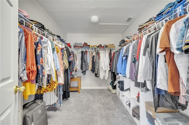 325 Aldridge Ln, Davenport, FL 33897 - walk in closet featuring carpet floors and attic access