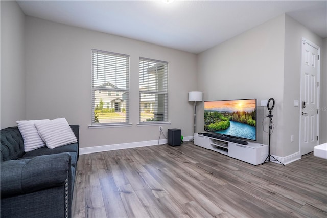12133 Bracco St, Winter Garden, FL 34787 - living room with wood finished floors and baseboards