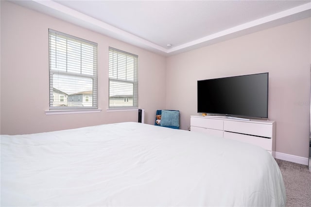 12133 Bracco St, Winter Garden, FL 34787 - bedroom with carpet floors and baseboards