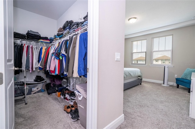 12133 Bracco St, Winter Garden, FL 34787 - spacious closet with carpet floors