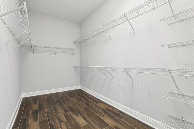 10203 Henbury St, Orlando, FL 32832 - photo 33