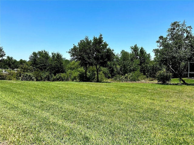 1513 Maidstone Ct, Davenport, FL 33896 - view of grassy yard