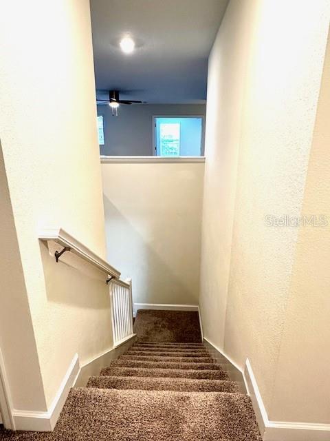 1513 Maidstone Ct, Davenport, FL 33896 - staircase featuring a ceiling fan, carpet flooring, and baseboards