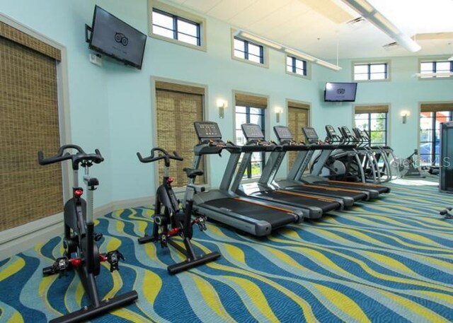 1513 Maidstone Ct, Davenport, FL 33896 - exercise room featuring carpet floors and a high ceiling