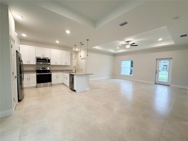 kitchen with appliances with stainless steel finishes, a raised ceiling, a sink, open floor plan, and a peninsula