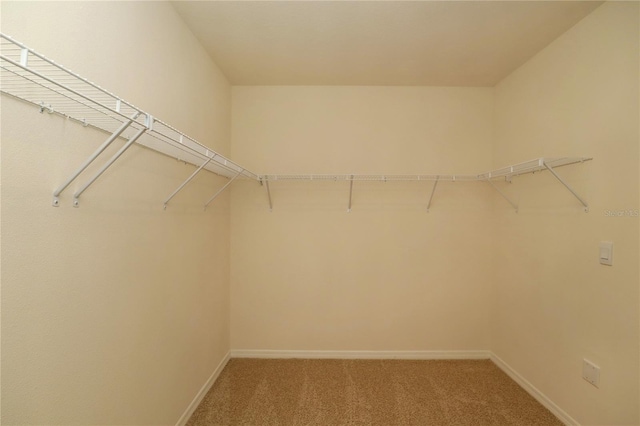 spacious closet featuring light carpet