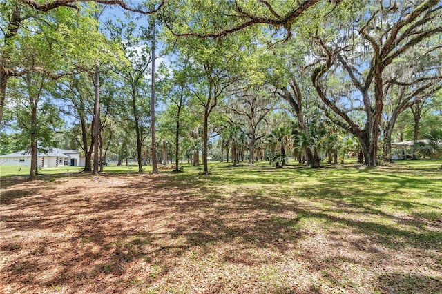 16758 NE 135th Ave, Fort Mc Coy, FL 32134 - photo 48