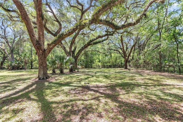 16758 NE 135th Ave, Fort Mc Coy, FL 32134 - photo 49