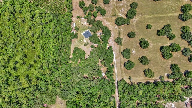 16758 NE 135th Ave, Fort Mc Coy, FL 32134 - photo 52