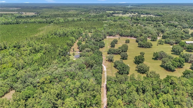 16758 NE 135th Ave, Fort Mc Coy, FL 32134 - photo 53