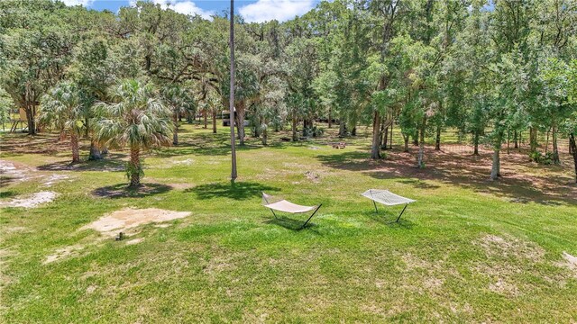16758 NE 135th Ave, Fort Mc Coy, FL 32134 - photo 46