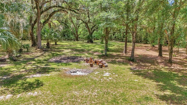 16758 NE 135th Ave, Fort Mc Coy, FL 32134 - photo 47