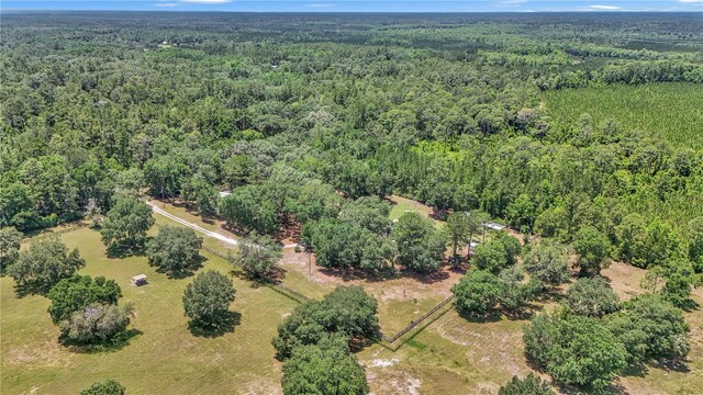 16758 NE 135th Ave, Fort Mc Coy, FL 32134 - photo 50