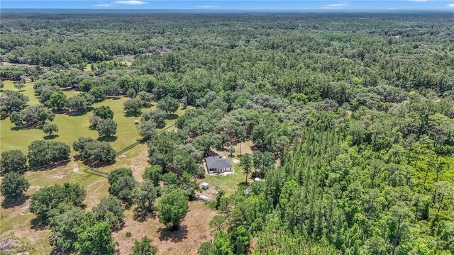 16758 NE 135th Ave, Fort Mc Coy, FL 32134 - photo 51