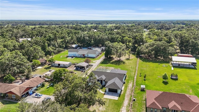 1438 Mclin Dr, Plant City, FL 33565 - aerial view of residential area with a forest