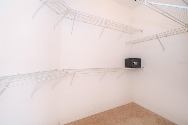 7263 Winding Lake Cir, Oviedo, FL 32765 - spacious closet with light carpet