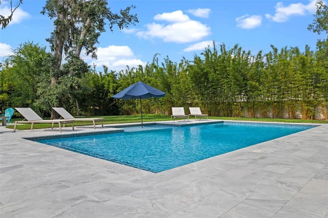 3865 W Stillwood Ln, Lake Mary, FL 32746 - view of swimming pool featuring a patio area and view of scattered trees
