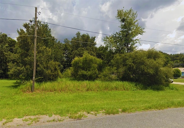 LOT21 Pine Trce, Ocala, FL 34472