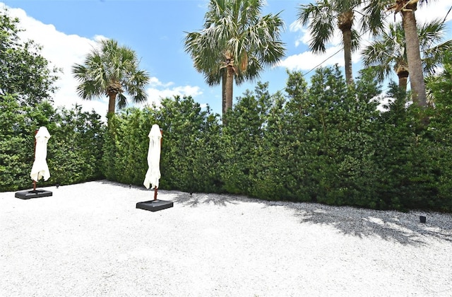 507 N Peninsula Ave, New Smyrna Beach, FL 32169 - view of yard featuring a patio