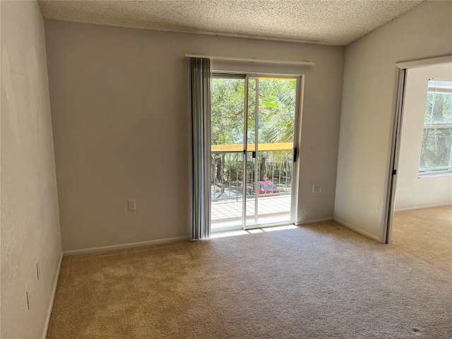 5291 Images Cir Unit 301, Kissimmee, FL 34746 - unfurnished room with carpet floors, healthy amount of natural light, and a textured ceiling