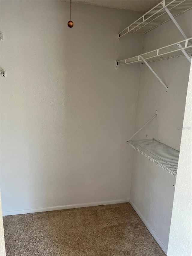 5291 Images Cir Unit 301, Kissimmee, FL 34746 - spacious closet with carpet floors